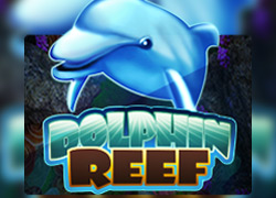 Dolphin Reef